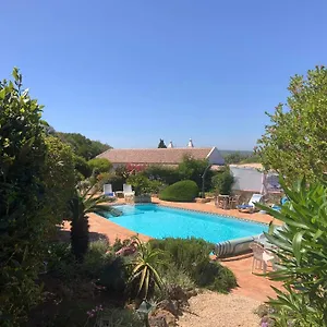 Quinta Falzina Luz